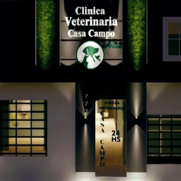 veterinaria casa campo santiago 772 768x768