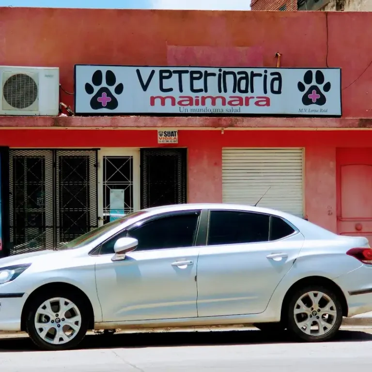 veterinaria maimara 768x768