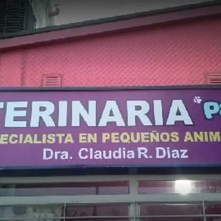 veterinaria patitas dra claudia diaz 768x768