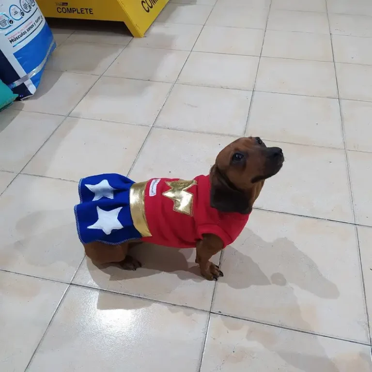 veterinaria roca tucuman 768x768