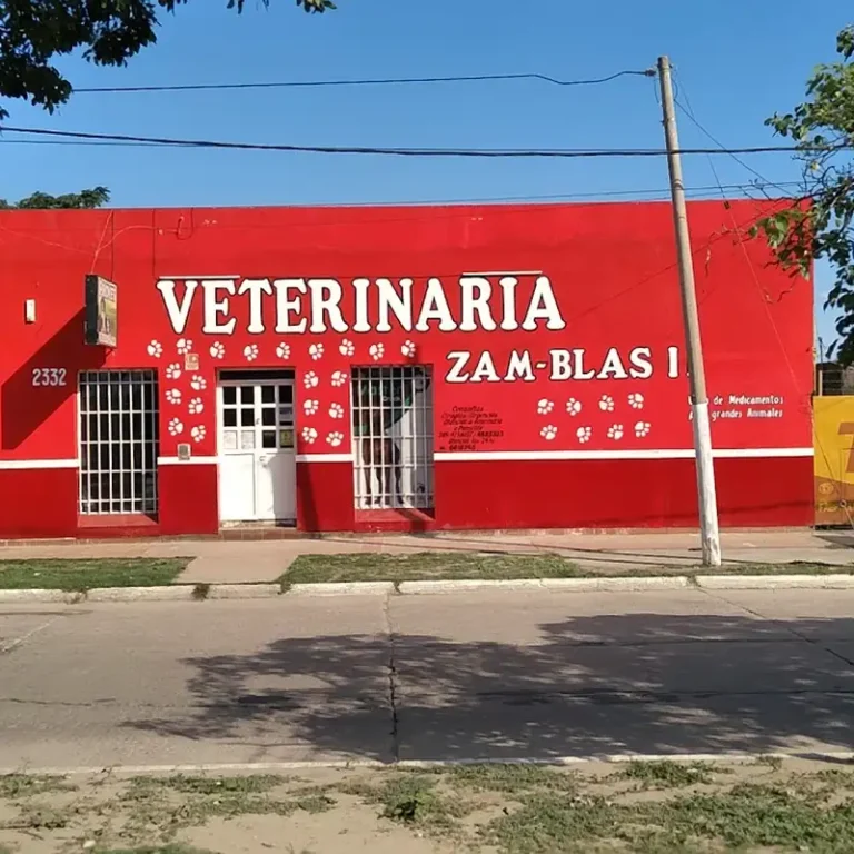 veterinaria zam blas 768x768
